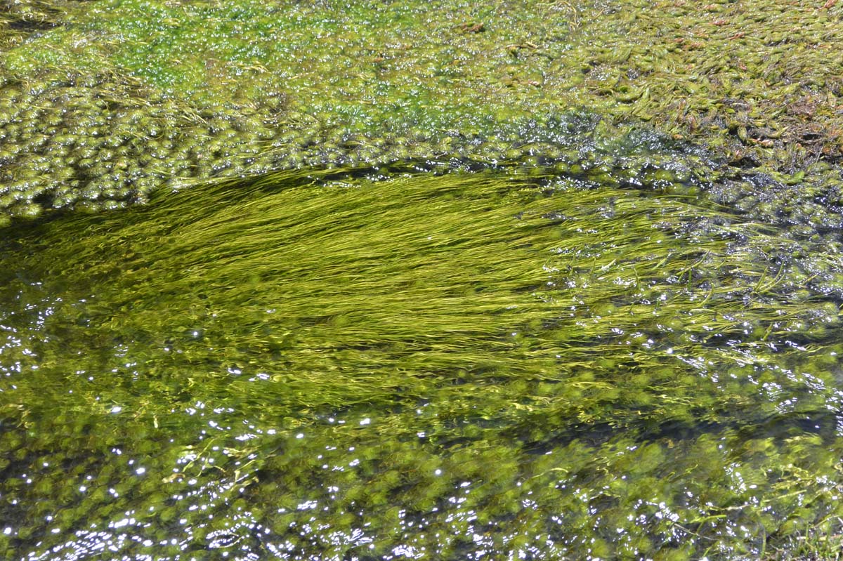 _DSC0407