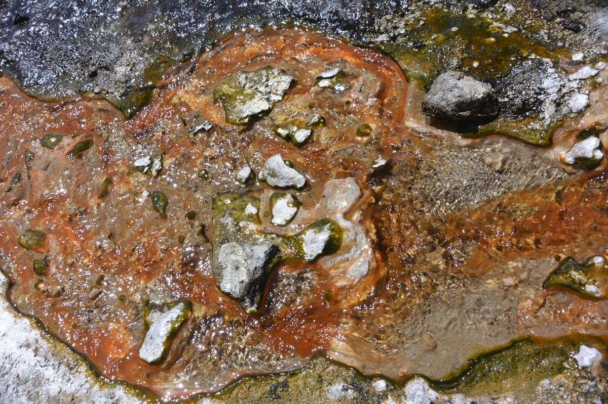 _DSC0425