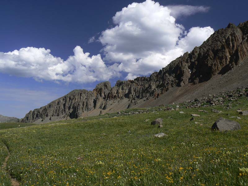 p0802081229