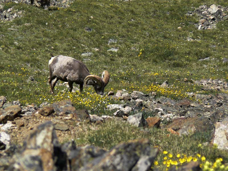 p0730081455