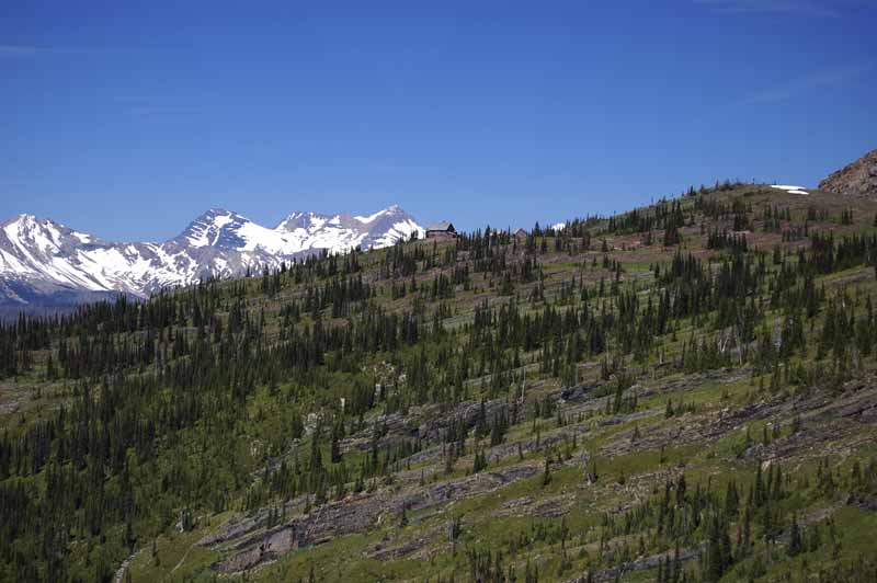 g_0705071315