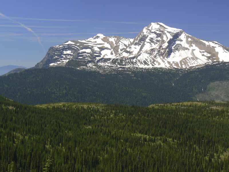 g_0705071405