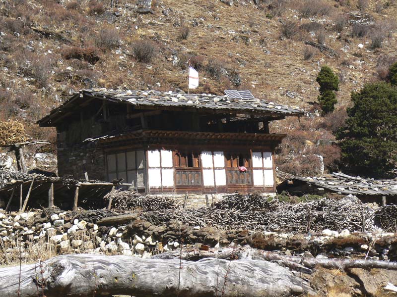 P1010045 - Copy