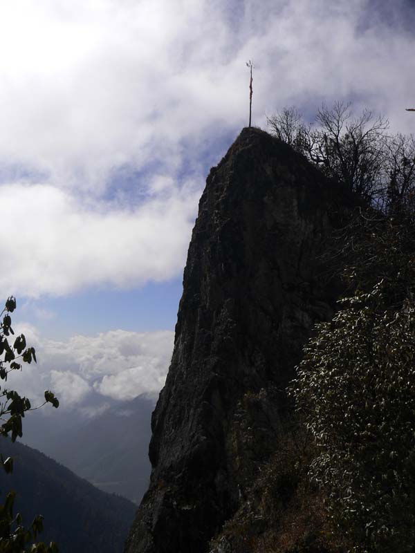 P1010294 - Copy