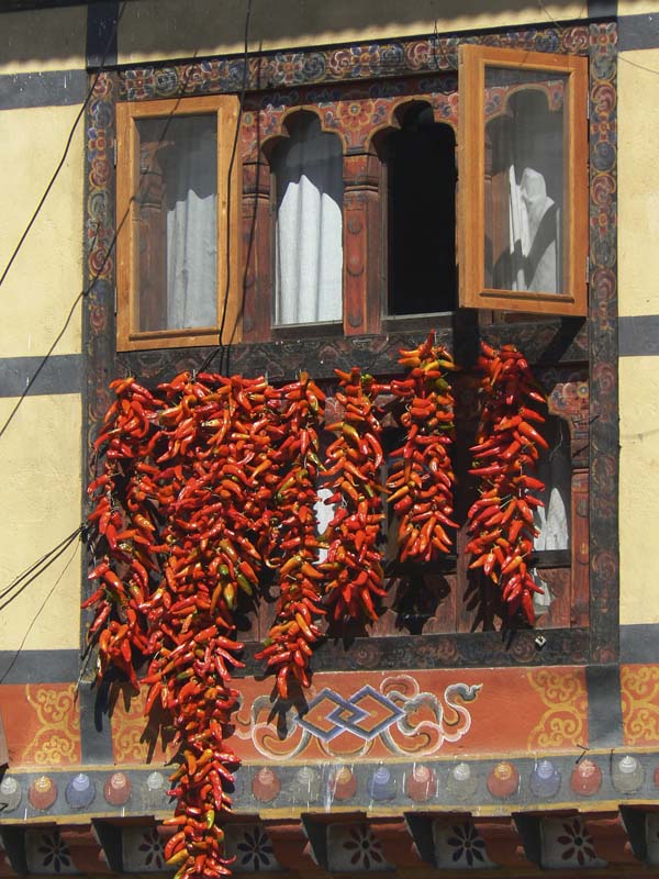 P1010352