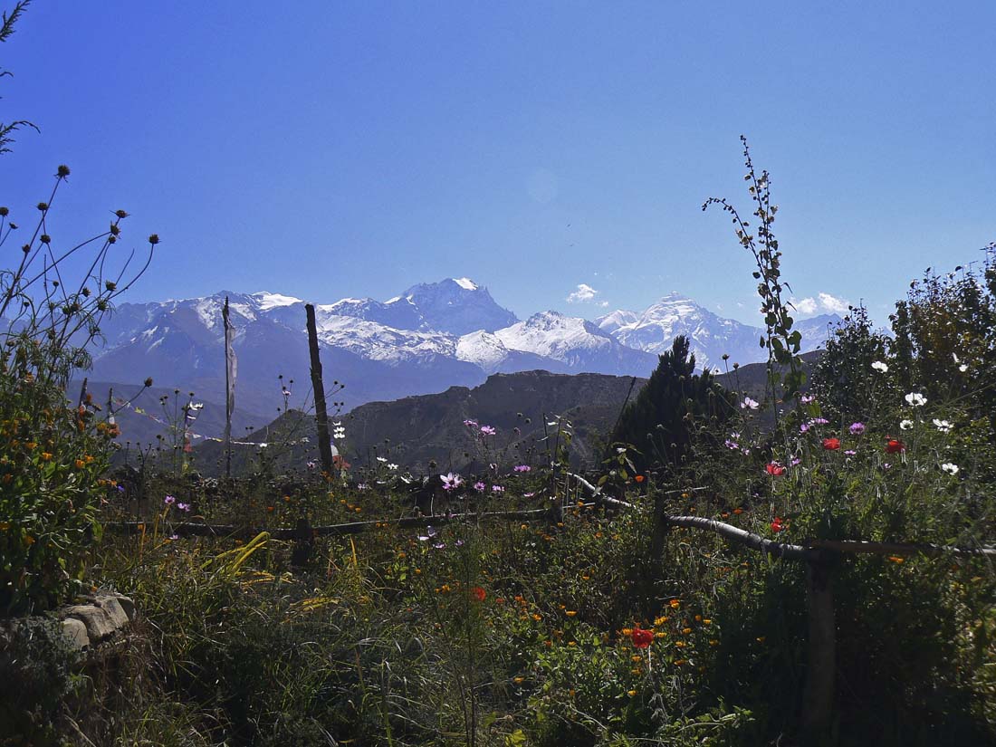 P1040349