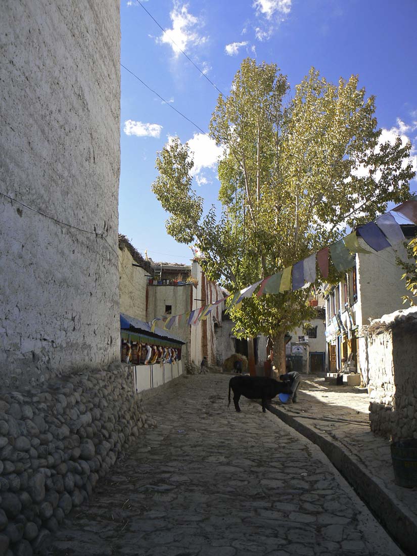 P1040596