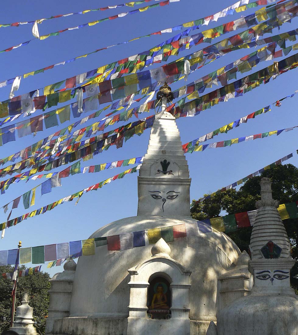 P1040790