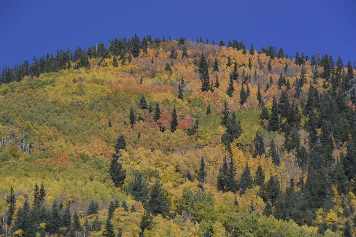 p092816_1