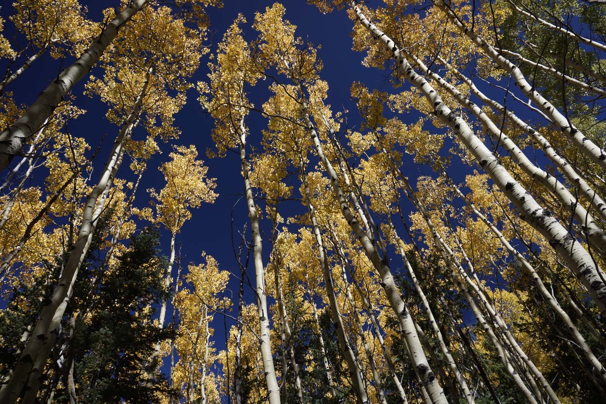 p093016_2