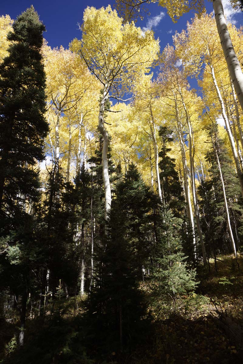 p100516_9b