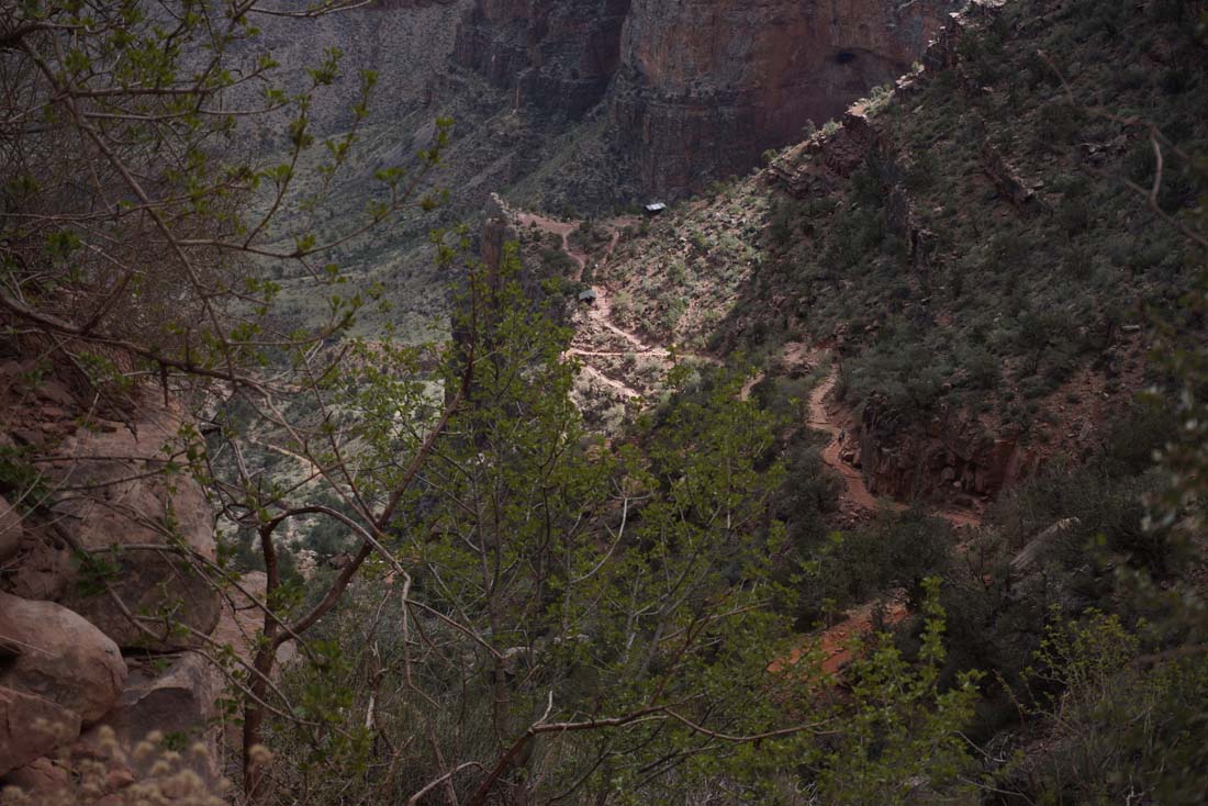 p005