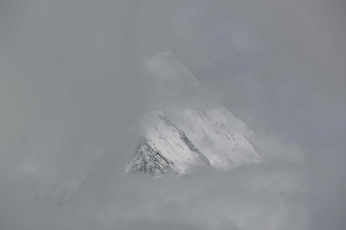 _DSC2017